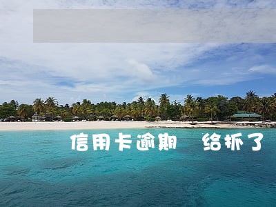 信用卡逾期 给抓了 信用卡逾期 给抓了